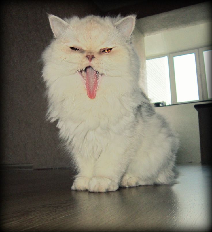 Катя Савенко | Киев