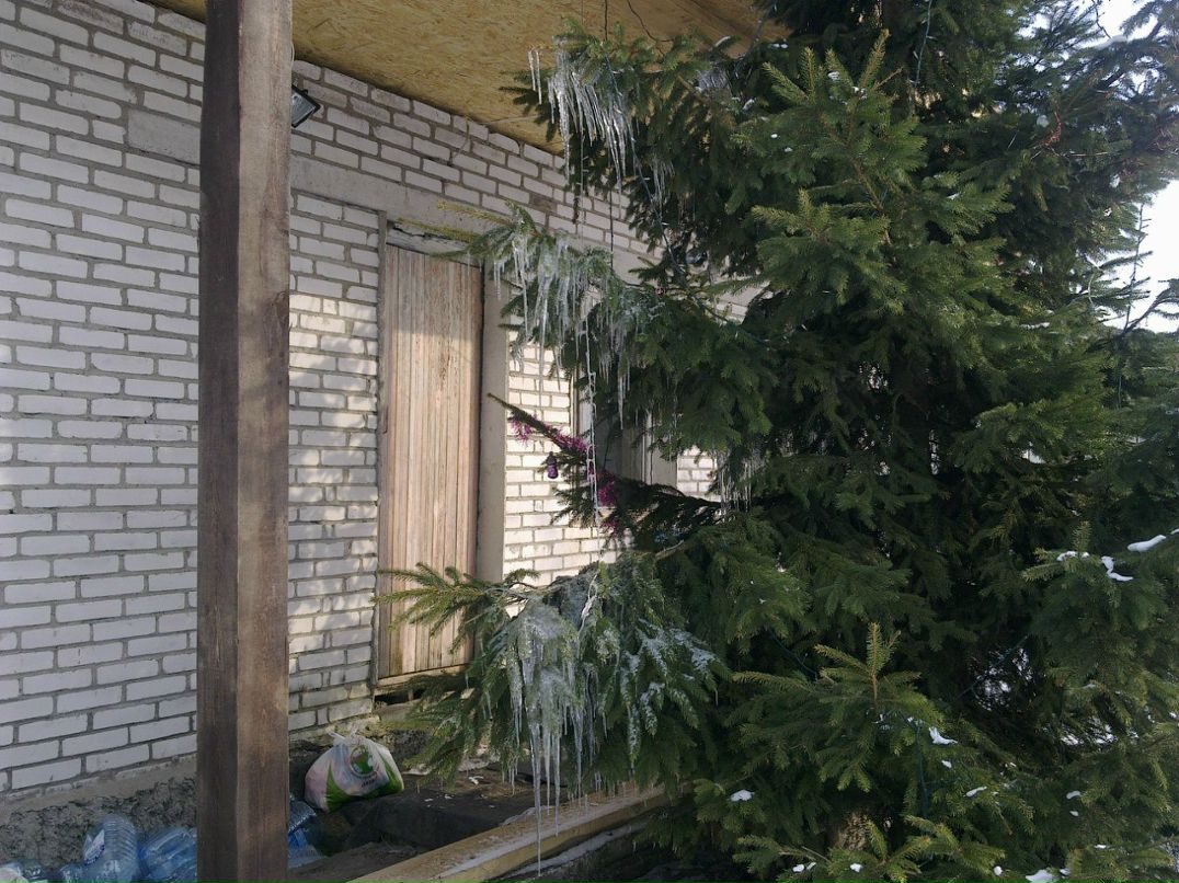 Ирина Василенко | Санкт-Петербург