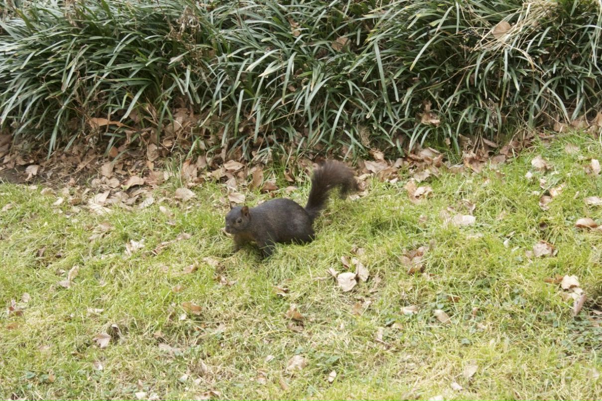 Диана Юмаева | Тюмень