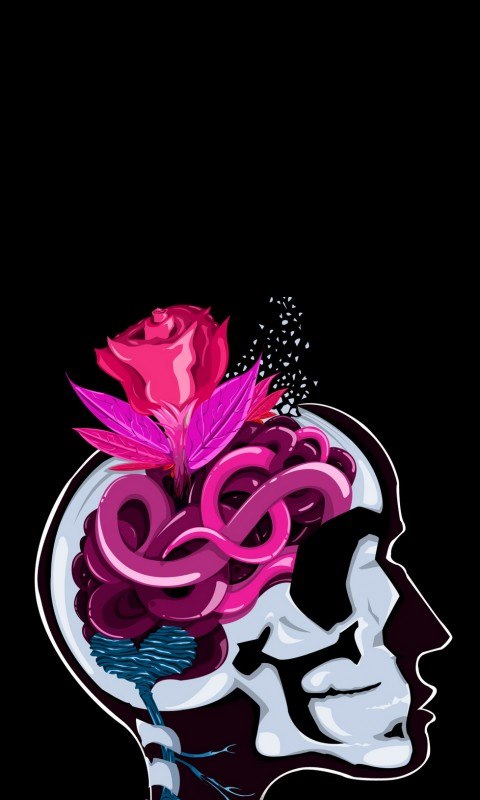 Николай Абраилов | 