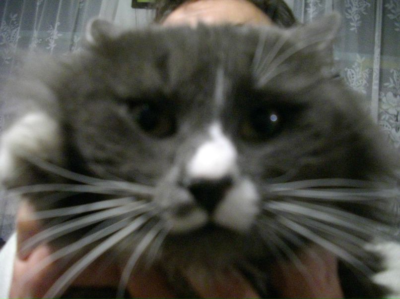 Игорь Бянкин | Пирятин