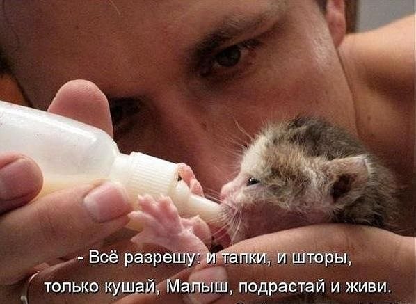 Элина Николаева | Владикавказ