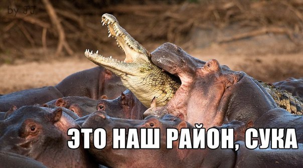 Саша Єрмолов | Луцк