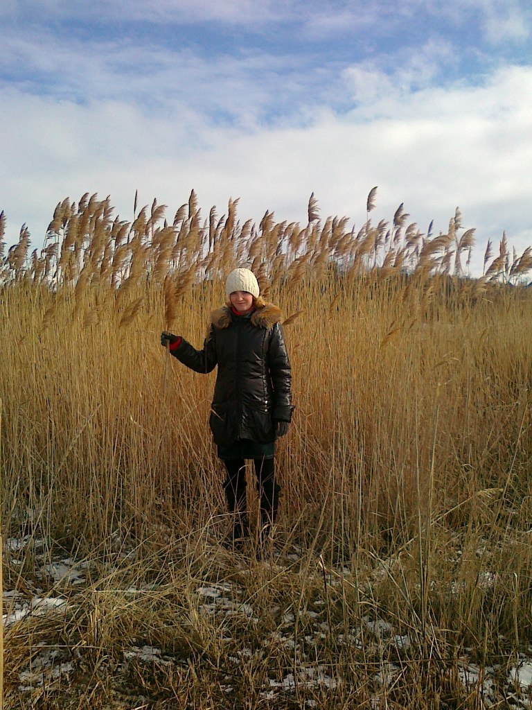 Николай Демидчик | Николаев