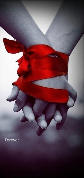 Софья Стригина | Москва