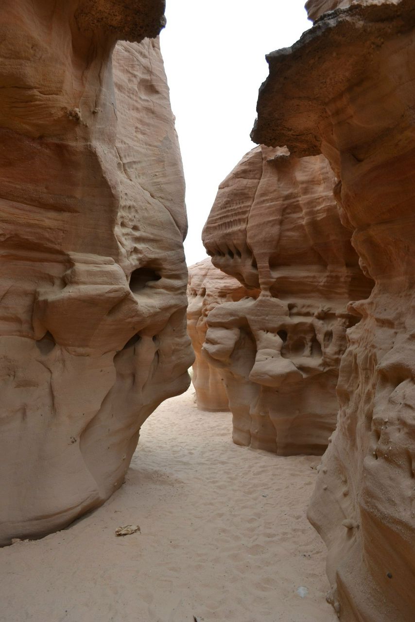 Анастасия Ярмакович | Минск