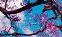 Анастасия Коротенко | Москва