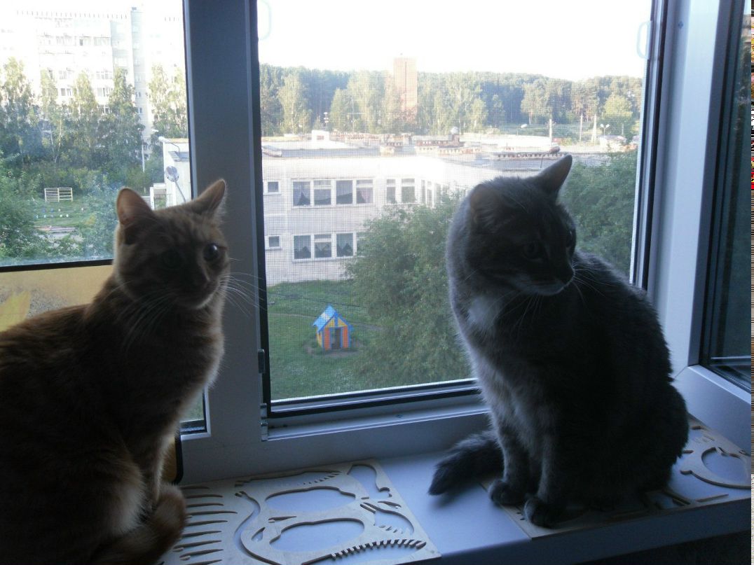 Сергей Чуфистов Zevs | Екатеринбург