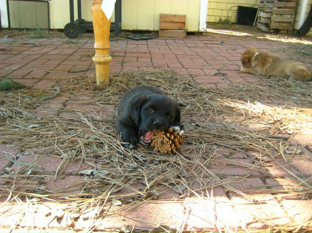 Аня Крылова | Santa Fe