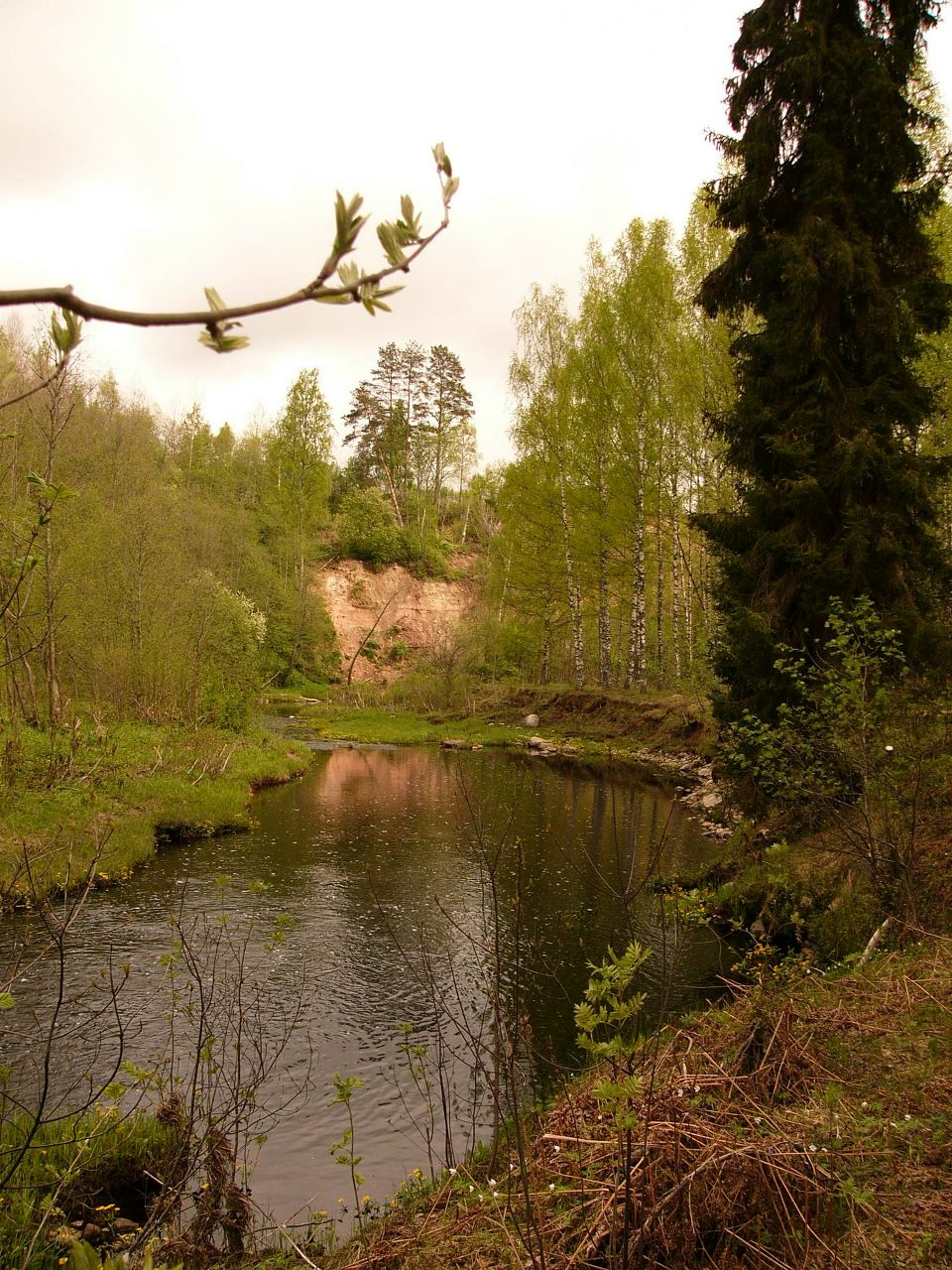 Михаил Колыванов | Санкт-Петербург
