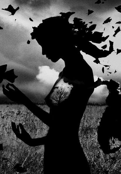 Женя Гербеда | 