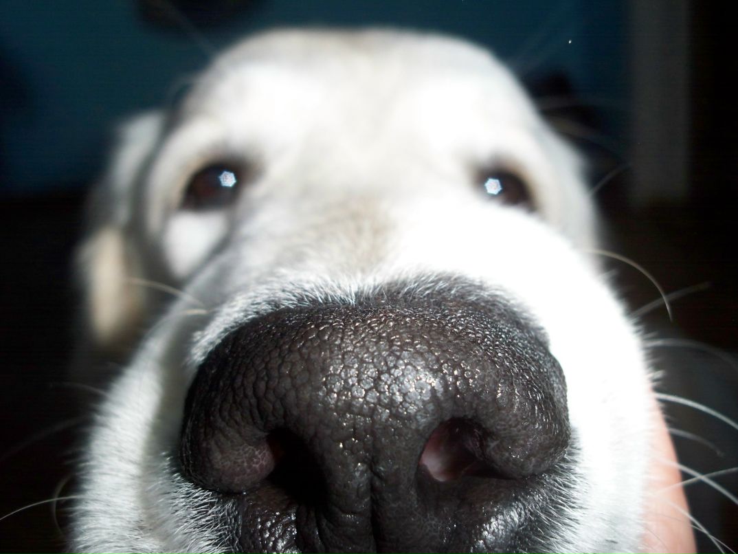 Dvizhenya Renya | Тернополь