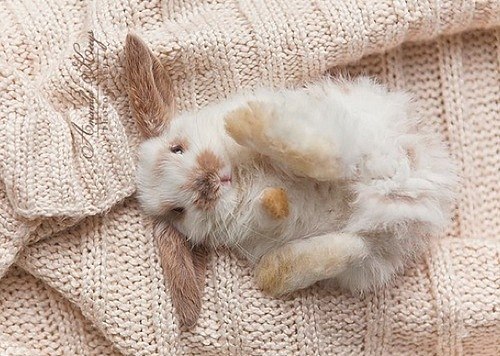 Кирилл Степанов | Санкт-Петербург