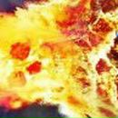 Анна Дымова-Плохих | Томск