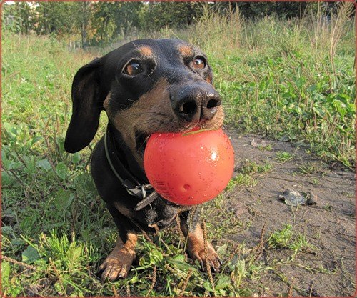 Константин Доманский Львович | Санкт-Петербург