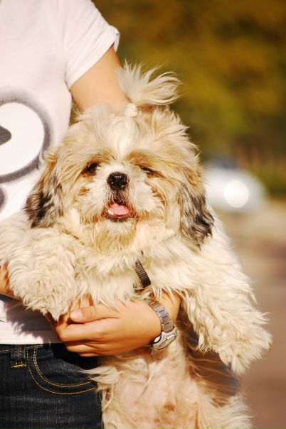 №42, Максим Пилипенко, 34 года, Севастополь №42, Максим Пилипенко, 34 года, Севастополь