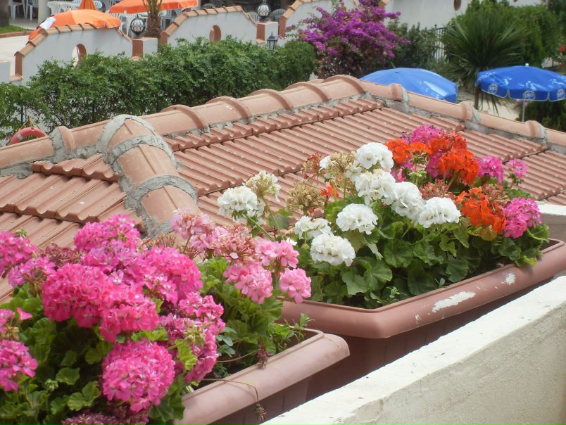 №11, Наталья Хакимова №11, Наталья Хакимова