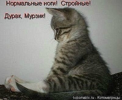 Мария Гриб | 