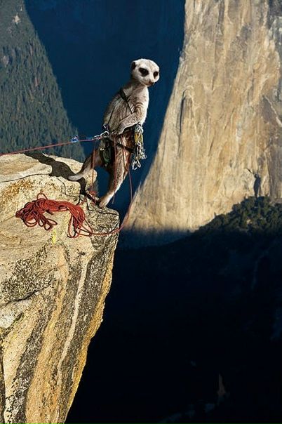 №26, Алексей Баукин, Москва, Россия №26, Алексей Баукин, Москва, Россия