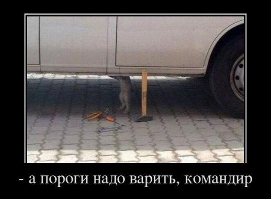 Ирина Лашкова | Оленино