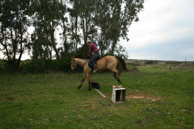 Любовь Бойко | Санкт-Петербург