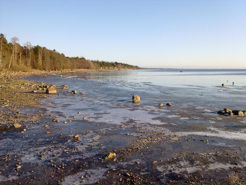 №44, Настя Бобелева, 33 года, Санкт-Петербург №44, Настя Бобелева, 33 года, Санкт-Петербург