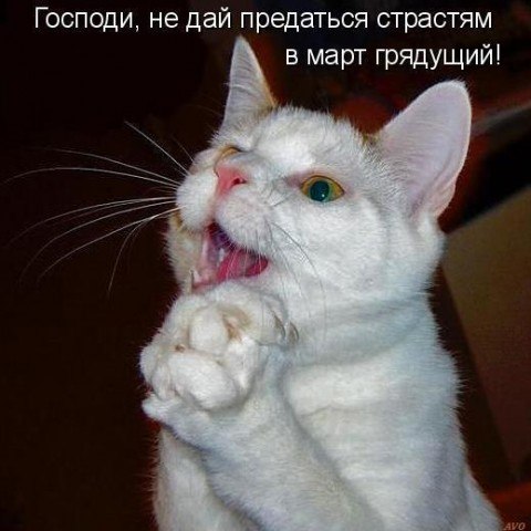 Наталья Золотова | Витебск