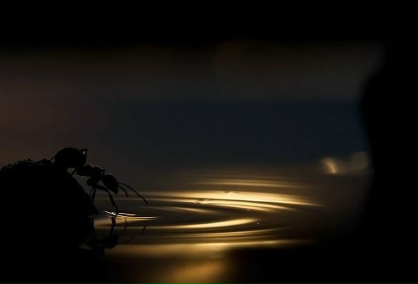 №130, Juliana Mierzejewska, 35 лет, Tampere №130, Juliana Mierzejewska, 35 лет, Tampere