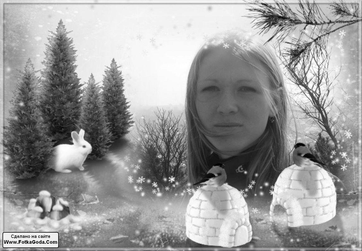 Диана Озолина | Винница