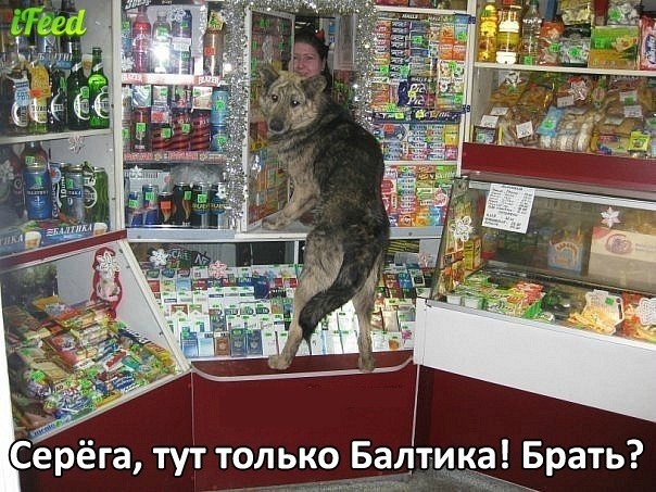 №44, Вадим Шитиков, Одинцово №44, Вадим Шитиков, Одинцово