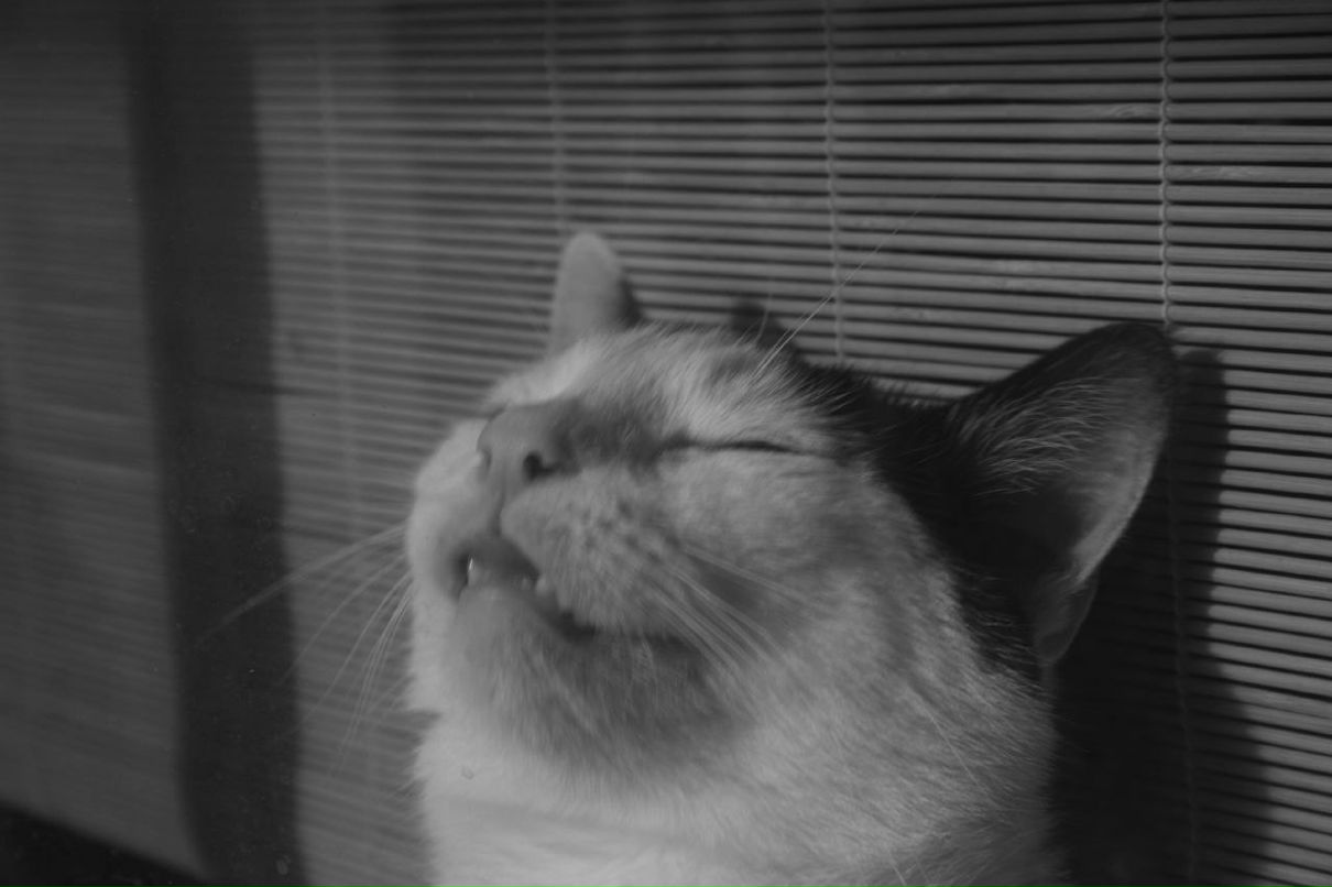 Даниил Сазанович | Верхняя Пышма