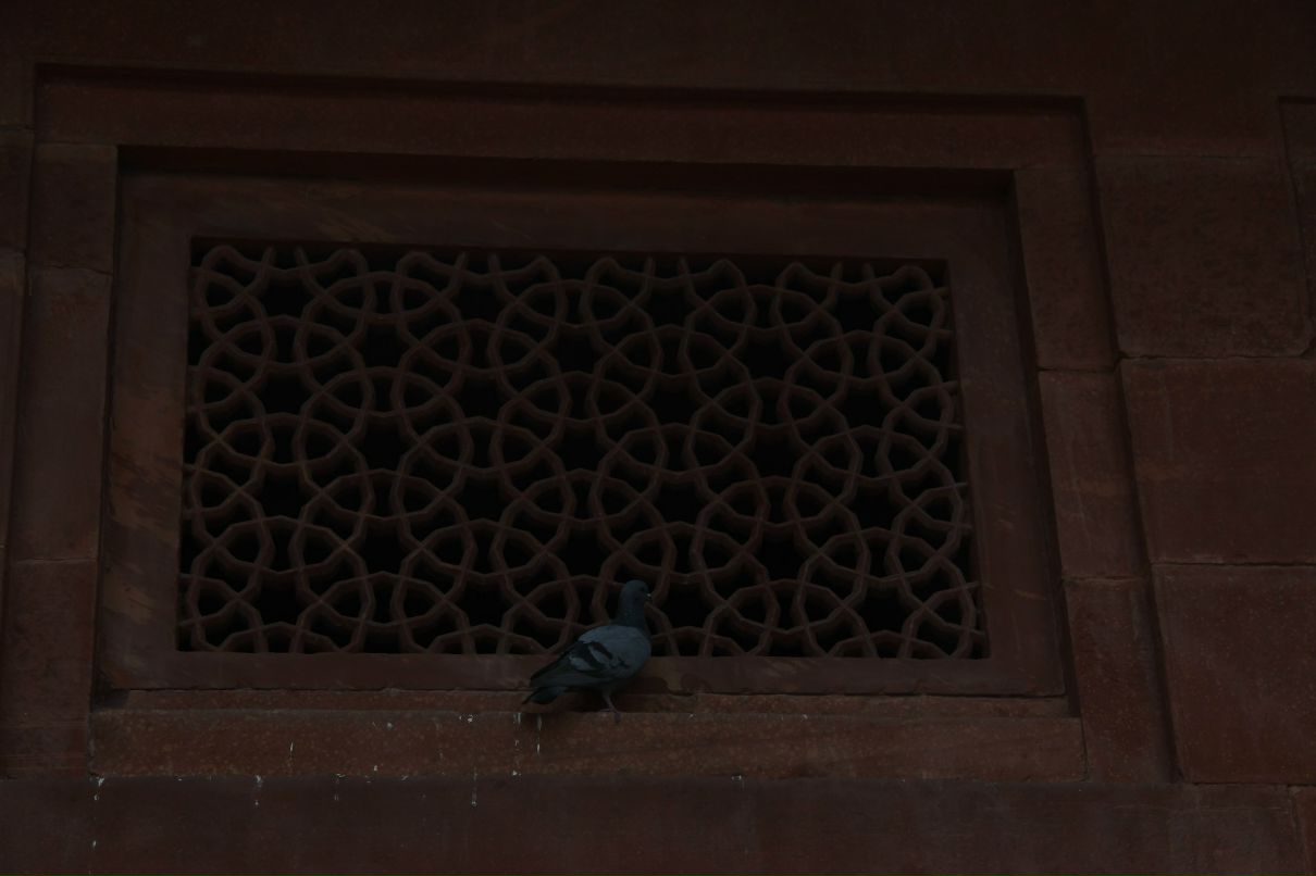 Андрей Смирнов Валерьевич | Санкт-Петербург