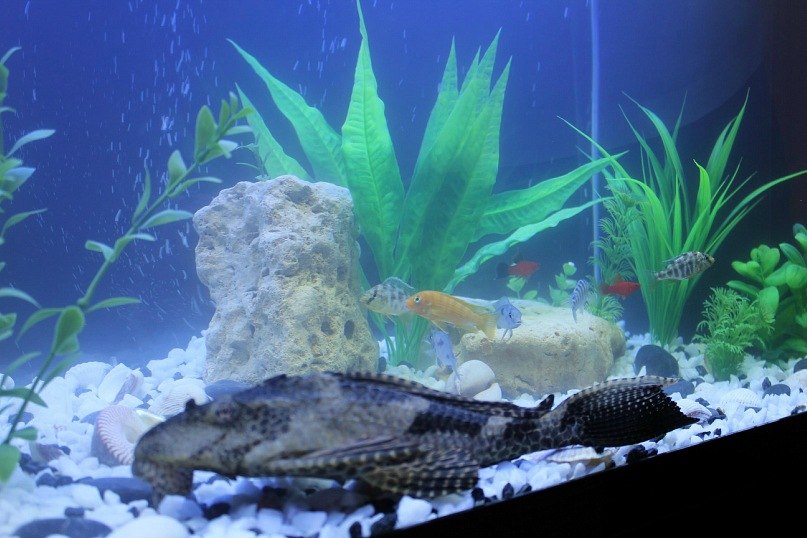 Вероника Жильцова -‘๑’- | Пермь