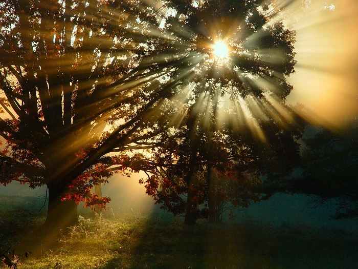 In An | Витебск