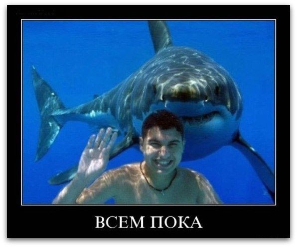 Анна Салихова | Санкт-Петербург