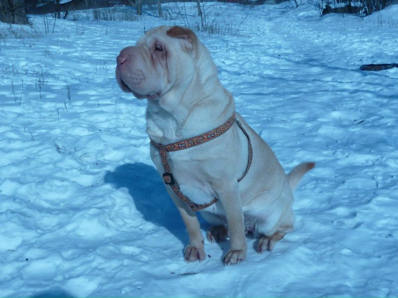 Евгений Титов | Кривой Рог