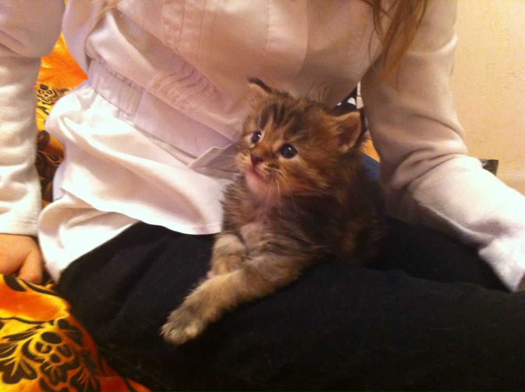 Екатерина Аккузина | Санкт-Петербург