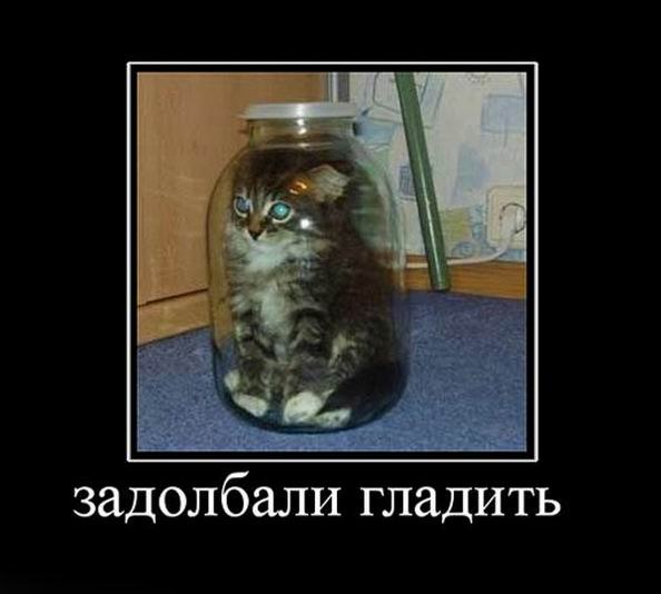 Наталя Стеценко Niagara | Львов