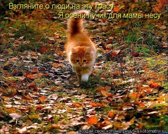 №41, Любаня Олифиренко, Одесса №41, Любаня Олифиренко, Одесса