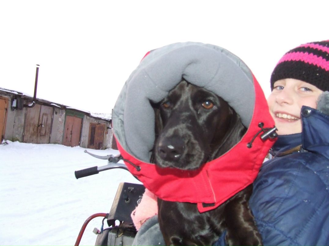 Алексей Корепин | Никель