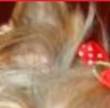 Фотография Евгения Холодова