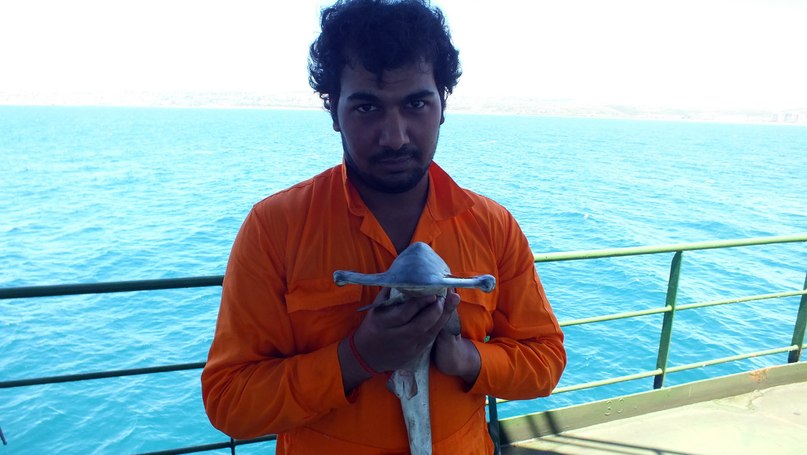 Доктор Спокойнойночи | 