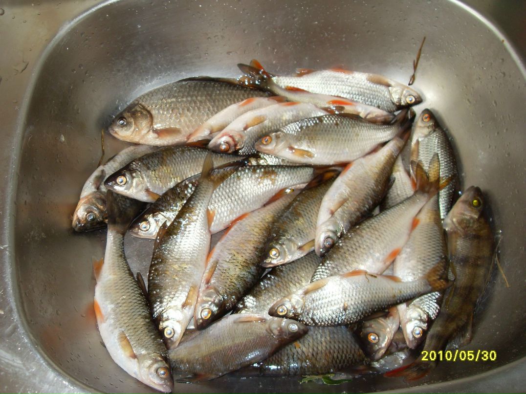 Дмитрий Макаров | Красноярск