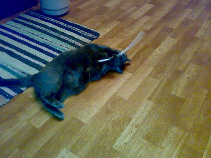 Галина Евова | Санкт-Петербург