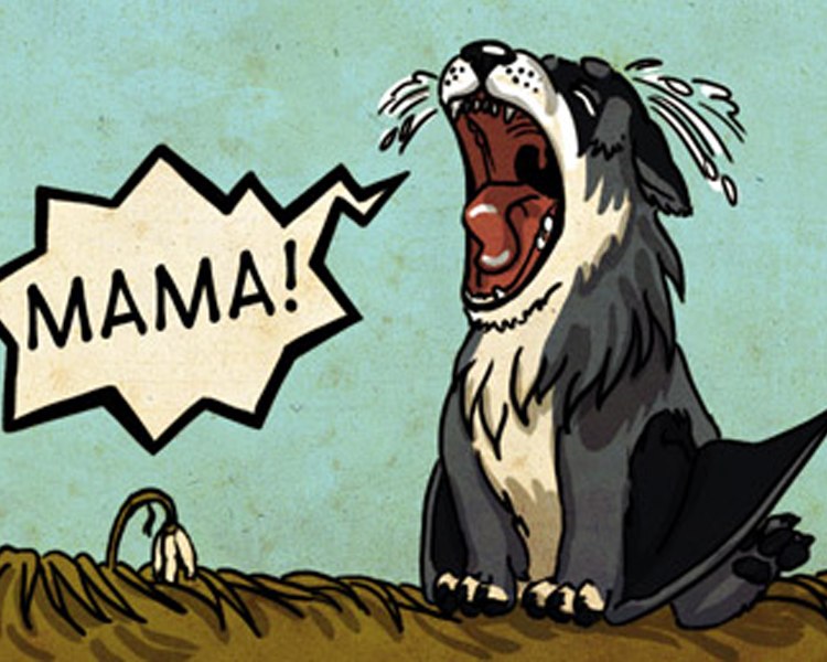 Андрей Колчин Arey | Зеленоградск