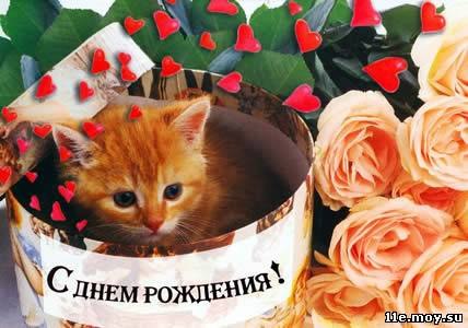Дмитрий Тарасов | Краснодар