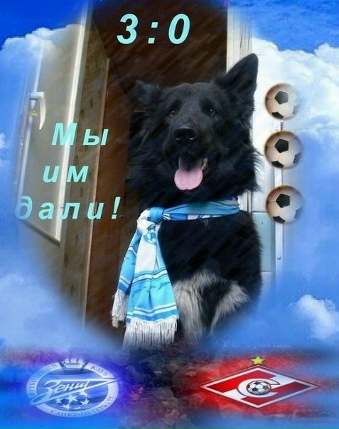 №77, Вячеслав Гульцев, 71 год, Санкт-Петербург №77, Вячеслав Гульцев, 71 год, Санкт-Петербург