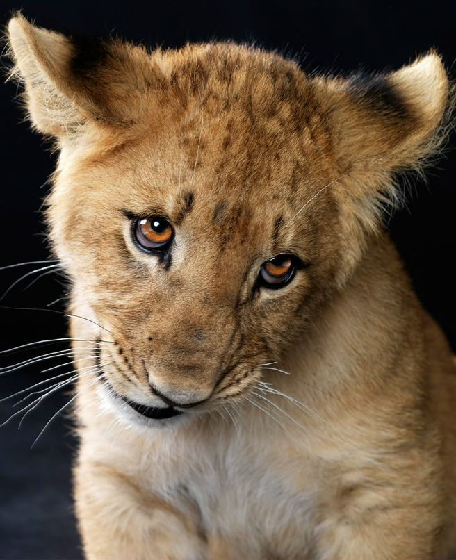 Алексей Фёдоров | Псков