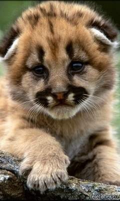 №19, Ксюша Кадирова №19, Ксюша Кадирова