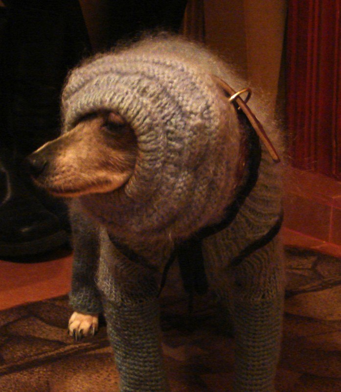 Евгений Кузнецов | Сургут